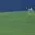 Мурашова Ярослава. Н