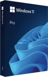 Microsoft Windows 11 Professional 0