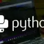 Учебная программа курса "Основы программирования на Python"