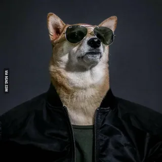 Ландшафтный дизайн