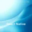 Кроссплатформенный разработчик React Native(Начальный уровень)