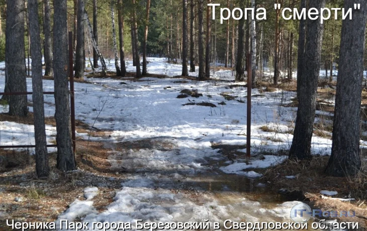 Закладчики и наркоманы заполонили Березовский, люди умирают от передозировок Закладчики и наркоманы заполонили Березовский, люди умирают от передозировок